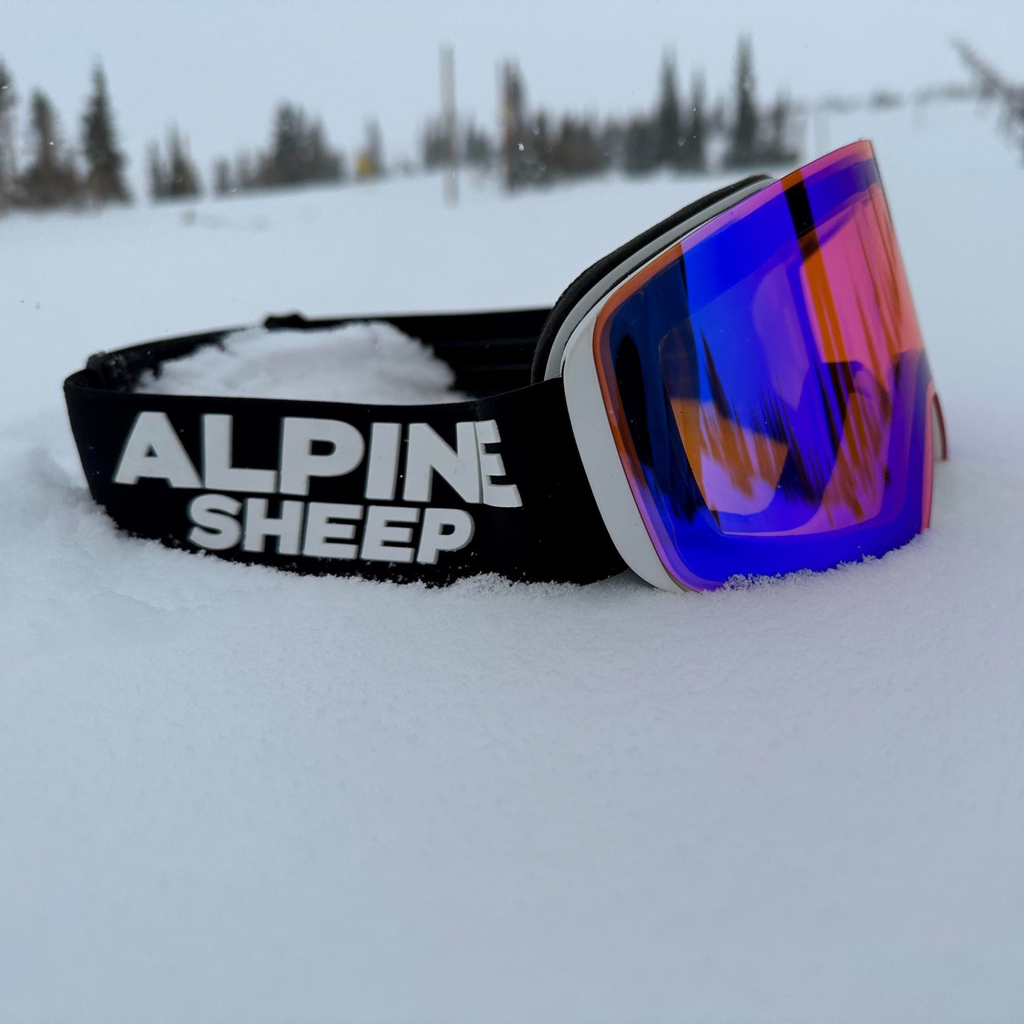 Ski and Snowboard Goggles + Two Magnetic Lenses